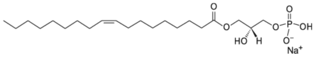 대표적 LPA C18:1 구조.