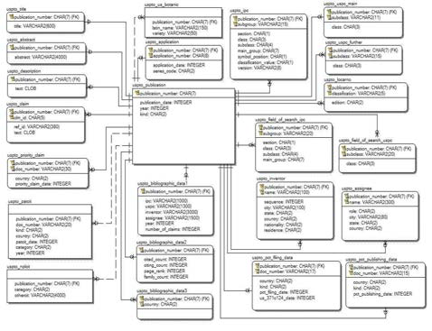 특허 데이터베이스의 구조