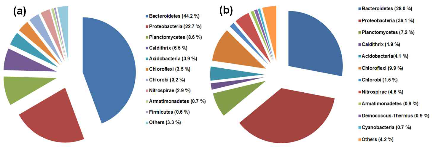 Phylum distribution of microbial communities.