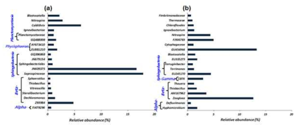 Top twenty genus levels of taxonomic classification with relative abundance