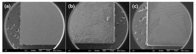 SEM micrographs of biofilm reduction (a) raw glass slide, (b) biofilm formation of