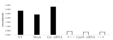 Real time-PCR을 통한 Lin28 siRNA 억제 확인