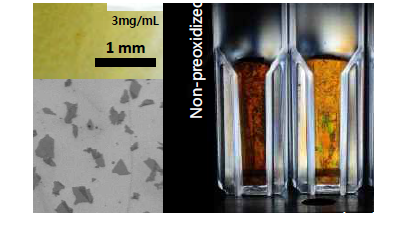 제조된 Giant graphene oxide (GGO) 필 름 (두께 = 420 nm)의 이 미지 (왼쪽 위), SiOx 기판 위에 immobilization한 GGO의 전자현미경 사진 (왼쪽 아래). GGO용액의 편광이미지 사진 (오른쪽).