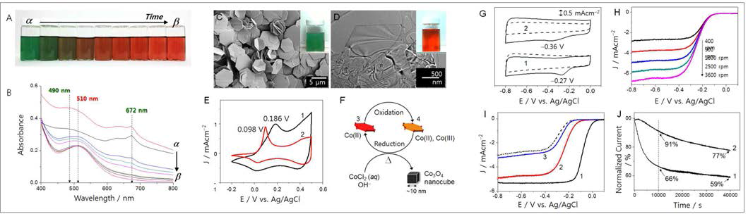 (A) α-Co(OH)2의 exfoliation 과정의 사진. (B) α-Co(OH)2의 exfoliation 과정의 UV/Vis spectra. (C) α-Co (OH)2의 SEM. (D) Exfoliated Co(OH)2의 TEM. (E) α-Co(OH)2 (검정색)과 exfoliated Co(OH)2 (붉은색)의 CV 곡선. (F) Exfoliated Co(OH)2의 topochemical reaction을 이용한 Co3O4 nanocube 제조에 대한 scheme. (G) Co3O4 nanocub e(1)과 commercial Co3O4 nanoparticle(2) 전극의 CV 곡선. (H) Co3O4 nanocube의 ORR polarization 곡선. (I) Pt/C( 1), Co3O4 nanocube/C(2), commercial Co3O4/C의 ORR 곡선. (J) Pt/C(1)와 Co3O4 nanocube/C(2)의 chronoamperomet ric response 곡선. 전기화학적 측정은 전해질에 산소를 주입하며 측정되었음.