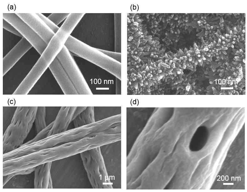 다양한 나노 구조 전기 방사 섬유 (a) 전기 방사 섬유, (b) 폴리아닐린 나노 구조물이 코팅된 전기 방사 섬 유, (c, d) 상분리효과로 제작된 나노 기공을 갖는 전기 방 사 섬유