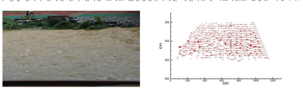 Velocity field for flood flow