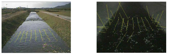 Velocity field for straight channel river flood