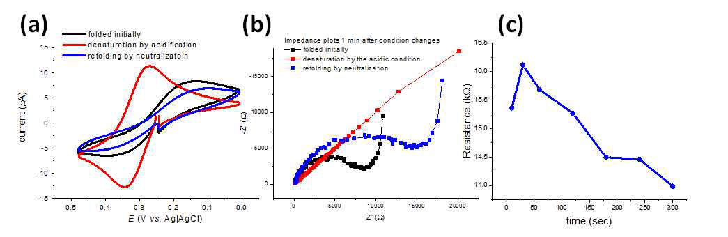 (a) GFP가 pH에 따라 풀리고 다시 접힘 과정에서 측정한 전류-전압 곡선, (b) 시간에 따라 변화 하는 임피던스를 측정한 데이커 중에 1분이 지난 시점에서의 Nyquist 도표. (c) GFP가 산성 조건에서 풀린 상태로 부터 다시 중성 조건으로 바뀌면서 재조립하는 하는 과정을 임피던스의 저항 값으로 표현한 그래프.