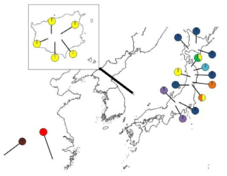 Localities and distribution of chloroplast DNA haplotype of Tiarella polyphylla D. Don.