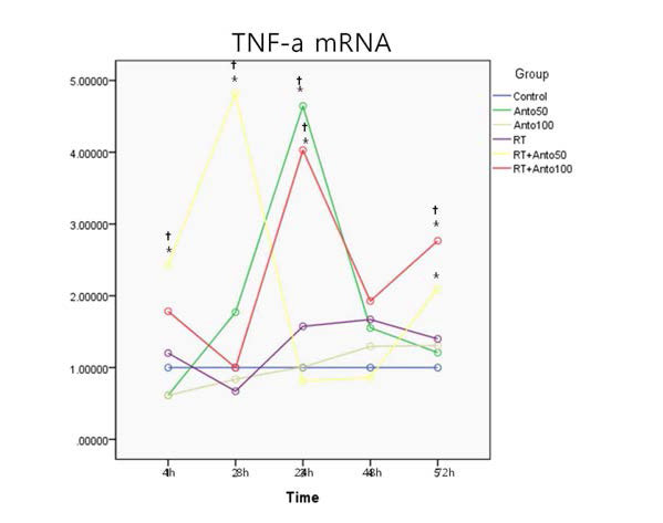 Hs68 cells의 TNF-a의 mRNA 변화