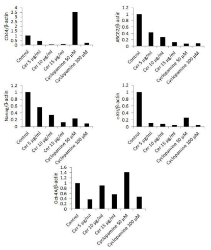 HTC-116 cells treated with shh inhibitors for 24 h - RT-PCR