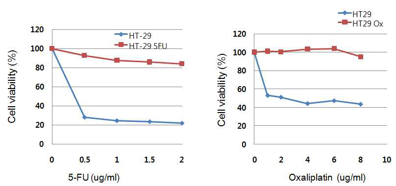 항암제 내성 HT-29 세포주 확립