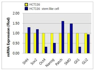 대장암줄기양세포에서 SHH signaling에 관여하는 인자들의 mRNA변화