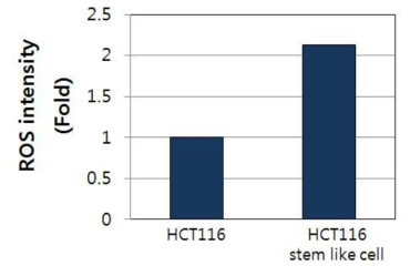 HCT116 암줄기양세포에서의 ROS변화