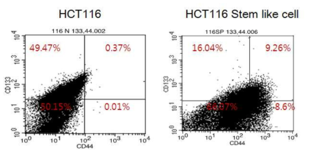 HCT116, HCT116 암줄기양세포에서 표지 마커 변화