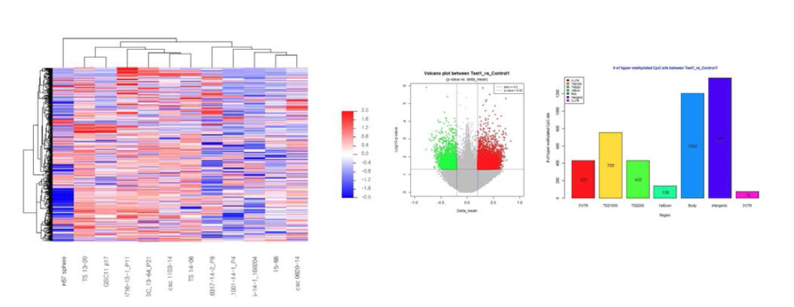 Infinium 플랫폼의 DNA methylation profile을 기준으로 한 unsuperivsed clustering