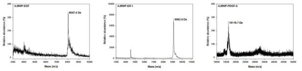 The actual molecular weights of rLMWP-EGF, rLMWP-IGF-I, and rLMWP-PDGF-A as determined by matrix-assisted laser desorption/ionization time-of-flight mass spectroscopy.