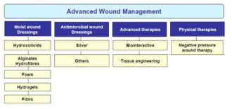 Advanced wound management 세부 카테고리