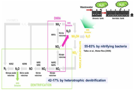 Nitrous oxide emission model from wastewater nitrification and denitrification