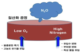N2O가스를 발생시킬 수 있는 주요 공정 변수들