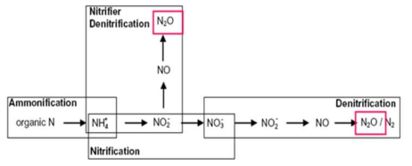 아산화질소(N2O) 생성 메커니즘
