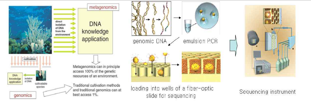메타지노믹스와 차세대 염기서열 분석 기술의 융합