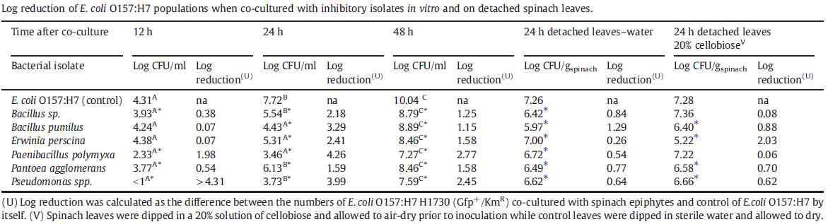시금치 표면으로부터 분리한 미생물과 E. coli O157:H7의 혼합배양 결과