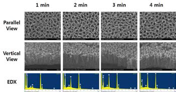 다양한 코팅시간에 따른 금 나노입자 코팅 티타니아 나노튜브 의 FE-SEM 사진 및 EDX 결과