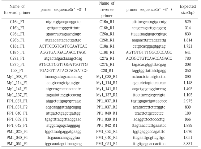 List of primers designed to screen the selected bacteriophages.