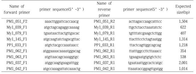 List of primers designed to screen the selected bacteriophages.