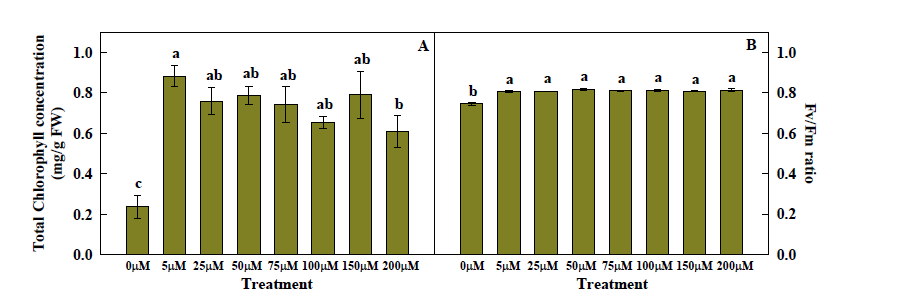 Total chlorophyll concentration (A) and Fv/Fm ratio (B) of kale grown under various Fe concentrations of nutrient solution at 4 weeks after transplanting. Significant at p=0.001 (n=4).