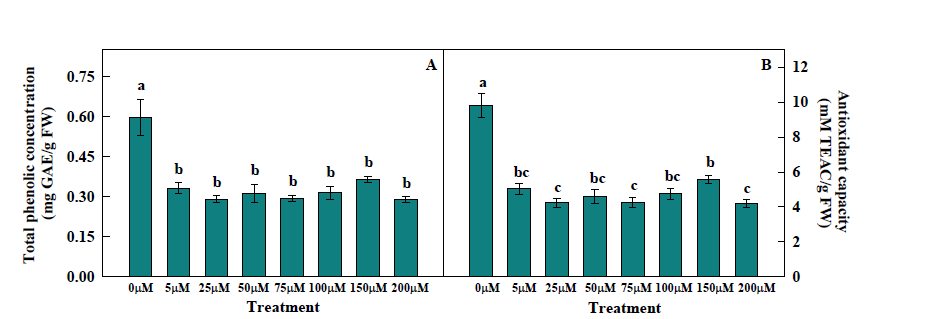 Total phenolic concentration (A) and antioxidant capacity (B) of kale grown under various Fe concentrations of nutrient solution at 4 weeks after transplanting.