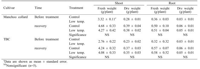 Fresh and dry weights of shoots and roots of two kale cultivars (‘Manchoo collard’ and ‘TBC’) right before low temperature treatment and at 2 days of recovery