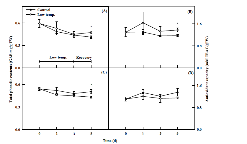 Total phenolic concentration and antioxidant capacity of ‘Manchoo collard’ (A and B) and ‘TBC’ (C and D) subjected to low temperature for 3 days. The vertical bars indicate standard errors.