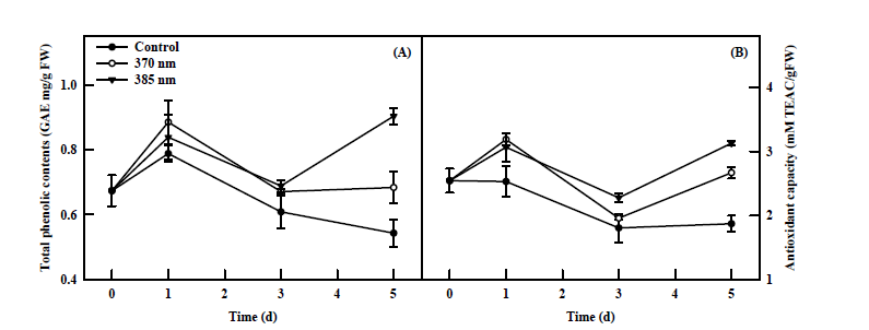 Total phenolic concentration (A) and antioxidant capacity (B) of kale plants subjected to two types of UV-A LEDs (370 and 385 nm) for 5 days.