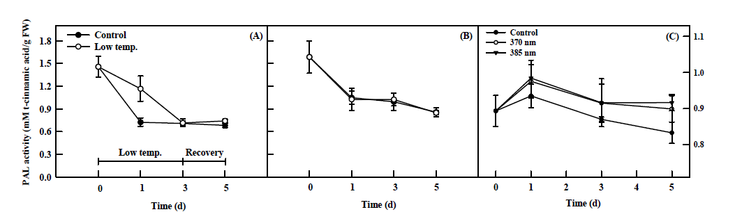 Phenylalanine ammonia-lyase (PAL) activity of ‘Manchoo collard’ (A) and ‘TBC’ (B) subjected to 4℃ for 3 days and recovered for 2 days in normal growing conditions (n=5) and PAL activity of Manchoo collard kale plants subjected to two types of UV-A LEDs (370 and 385nm) for 5 days (n=4). The vertical bars indicate standard errors.