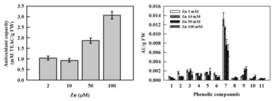 Antioxidant capacity (left) and the contents of individual phenolic compounds (right) of spinach shoots grown in the nutrient solution containing 2, 10, 50, and 100 μM Zn for 14 days.