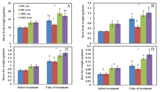 Fresh (A, B) and dry (C, D) weights of shoots and roots of