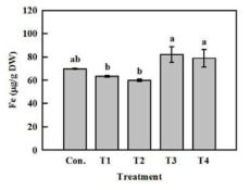 Fe content of kale shoots cultivated after cutting roots in nutrient solution containing 25, 50, 100, and 200 μM Fe-EDTA (T1, T2, T3, and T4) for 9 days.