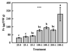 Fe content of kale shoots cultivated in nutrient solution containing 25, 100, and 200 μM Fe-EDTA for 9 days after cutting roots (25-1, 100-1, 200-1), and Fe content of kale one more cut after 7 days of first root cutting at the second day (25-2, 100-2, 200-2).