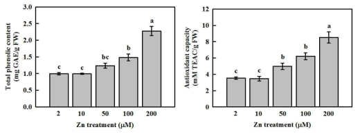 Total phenolic content (left) and antioxidant capacity (right) in kale shoots grown in the nutrient solution containing 2, 10, 50, 100, and 300 μM Zn for 14 days.