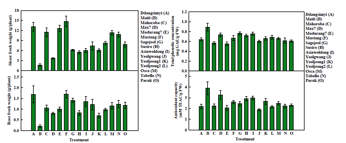 Fresh weight of shoot and root (left) and total phenolic concentration and antioxidant capacity (right) of spinach plants at 88 days of sowing.