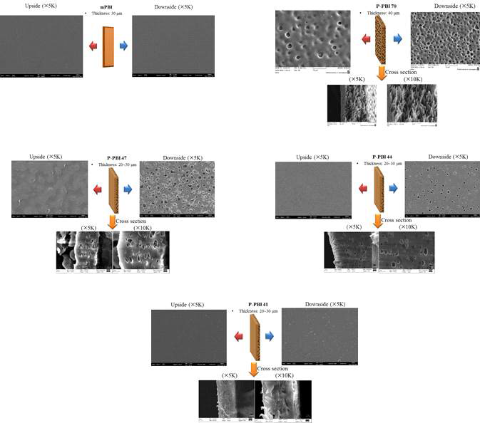 폴리벤지미다졸 기반의 다공성 막 및 비대칭 다공성막들의 표면 및 단면 SEM 사진.