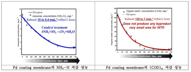 Pd coating 멤브레인의 NH3-N, (COD)cr 저감성능.
