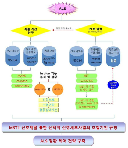 연구과제 개요