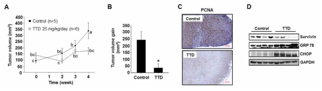 췌장암 xenograft 모델에서 tetrandrine(TTD)의 종양 성장 억제 효과