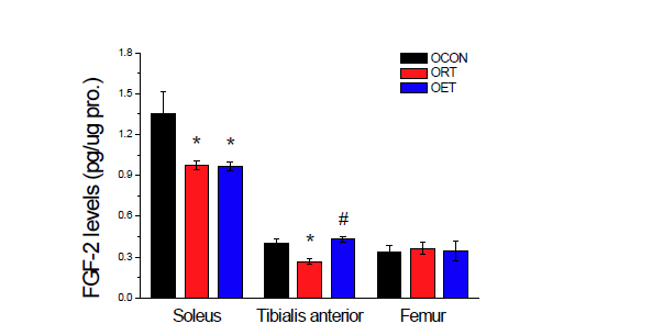 FGF-2 expression levels in skeletal muscle and bone