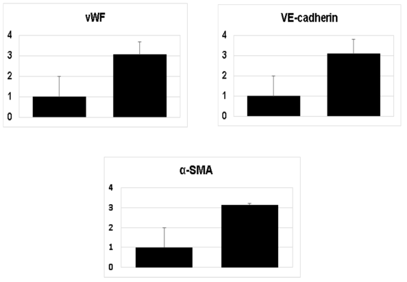 mRNA expression ; Real-tim PCR 결과 (단위: fold), vWF(von Willibrand factor), VE-cadherin( vascular endothelial cadherin) 그리고 α-SMA(α-smooth muscle actin)의 mRNA expression. Control칩(stenosis 0%) 과 동맥경화 칩(stenosis 70%) 비교 결과