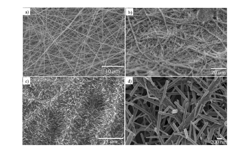 (a) 셀룰로스 나노섬유, (b) Hierarchical nanospicules 가 코팅된 셀룰로스나노섬유 (0.05M NaOH에 3분 처리), Hierarchical nanospicules 가 코팅된 셀룰로스나노섬유의 저배율 (c) 과 고배율 (d)　SEM　사진