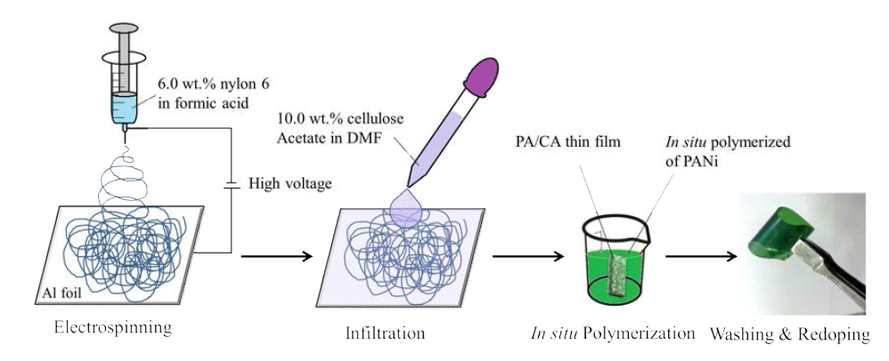 폴리아닐린이 표면중합 된 투명나노섬유 복합재료 전극의 제조 공정 모식도